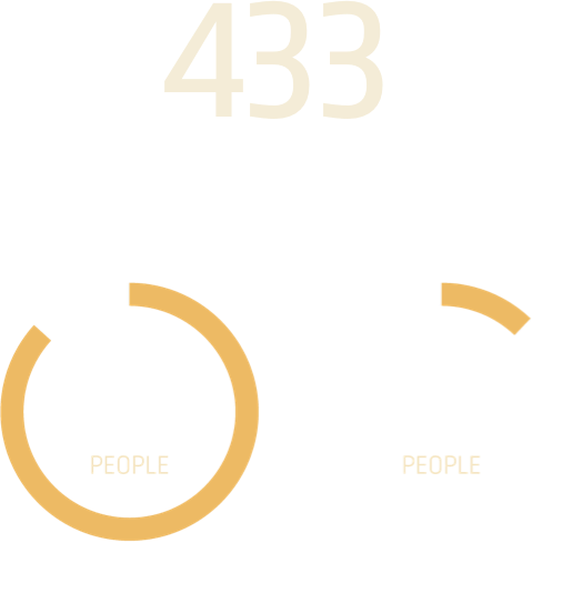 Orion-setting-higher-standard-infographic-stat-2
